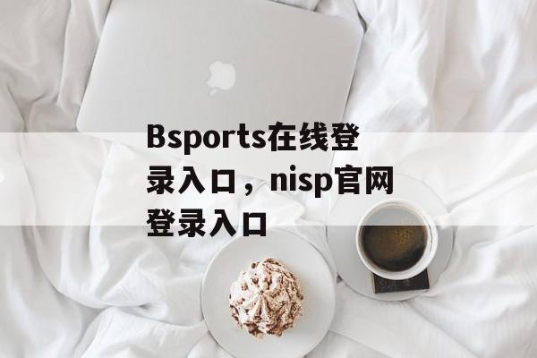 Bsports在线登录入口，nisp官网登录入口